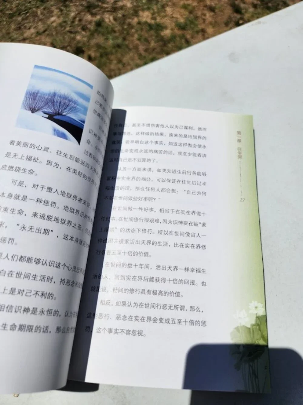 The Laws of Eternity by Ryuho Okawa Chinese edition Happy Science Religious Move